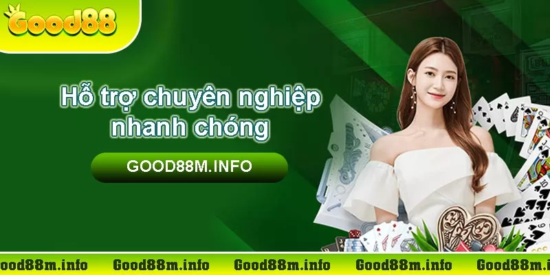 dịch vụ hỗ trợ khách hàng chuyên nghiệp